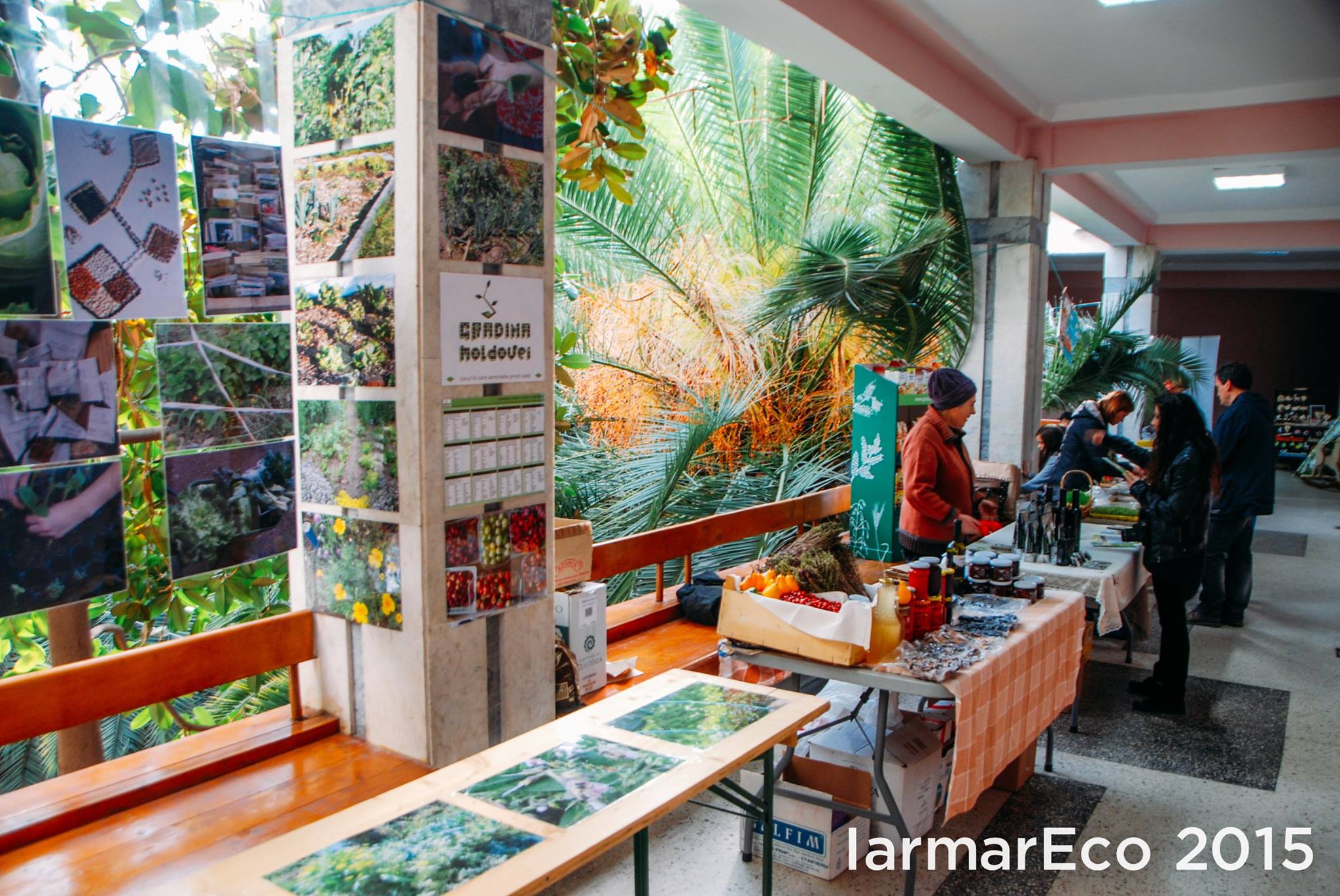 IarmarEco-eveniment-2015__79_.jpg